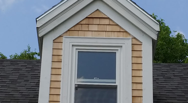 Window