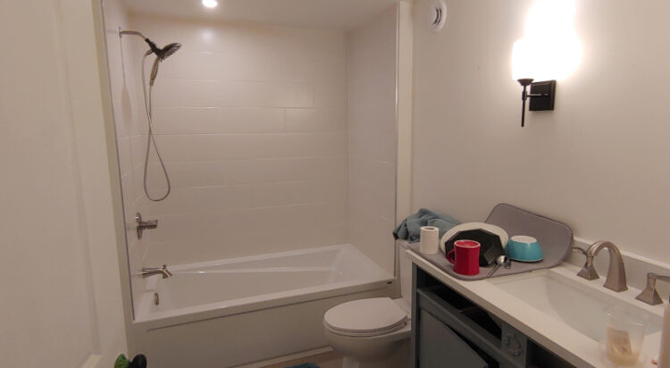 Addition/Renovation/Bathroom/Full Gut