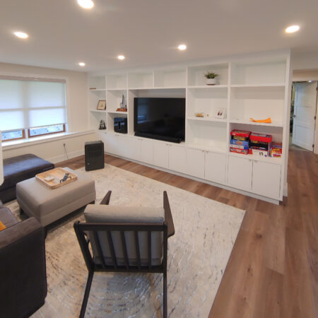 Renovation/Basement/Built-In