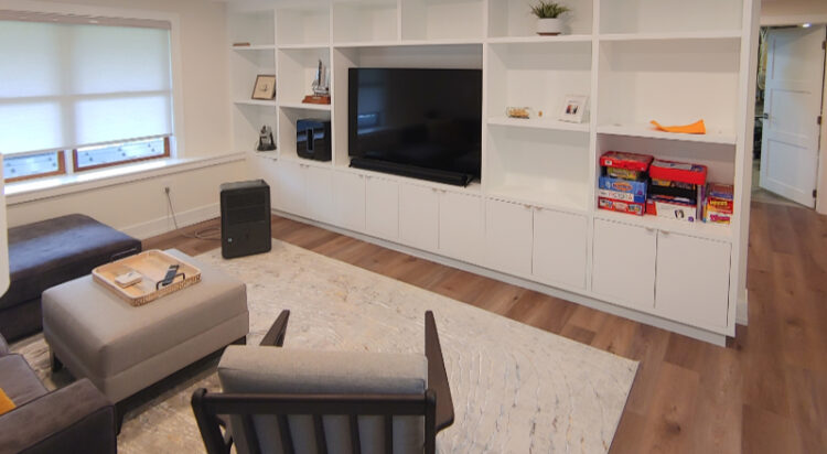 Renovation/Basement/Built-In
