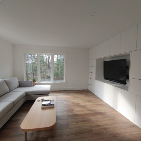 Renovation/Den/Built-In